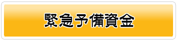 緊急準備資金